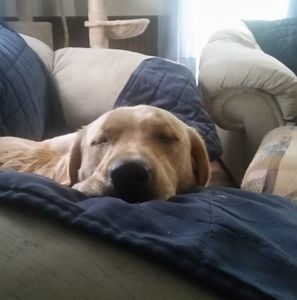 Meet your Posher, Eric